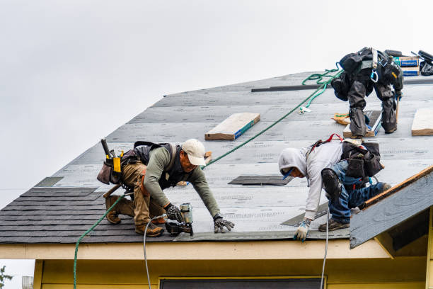 Professional Roof Replacement technician working in Tamaqua, PA